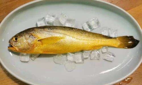 营养卫士是正规品牌吗-蕃茄全程冲施不能超过几次、营养士 -营养先锋网