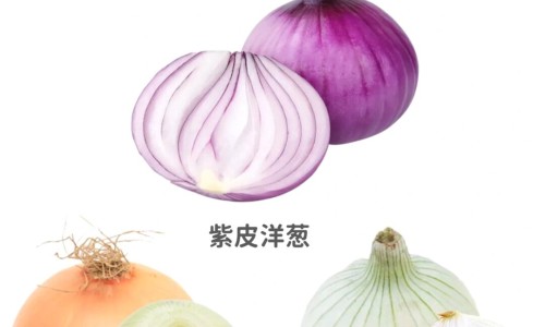 营养卫士是正规品牌吗-蕃茄全程冲施不能超过几次、营养士 -营养先锋网