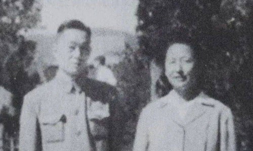 蕃茄全程冲施不能超过几次、营养士 -营养先锋网